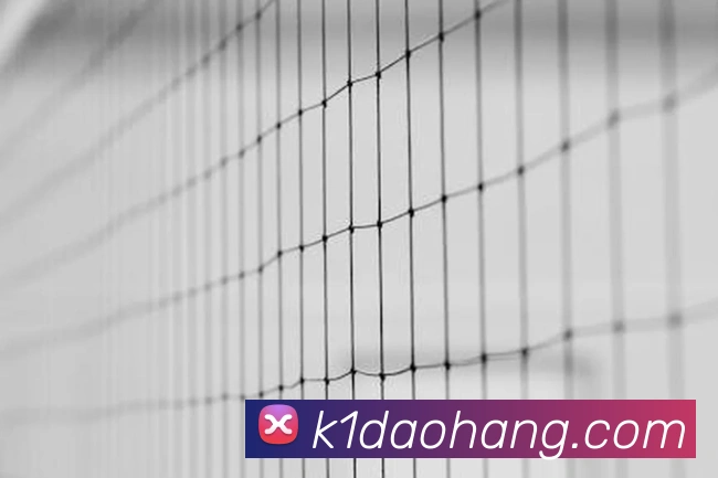 K1体育官网全站App